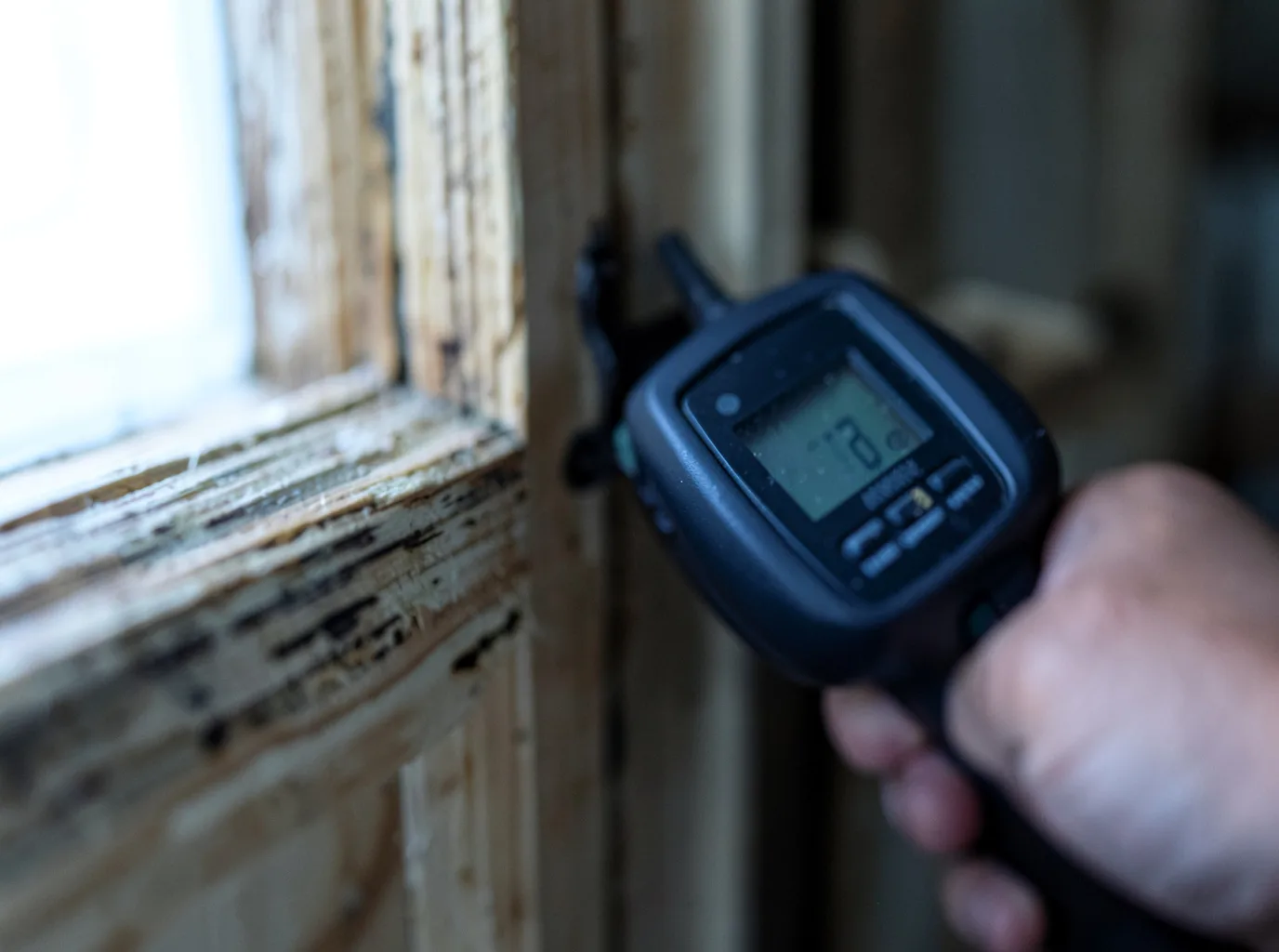 Moisture Inspection And Documentation in Maple Shade, NJ